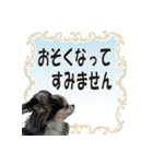 大人やさしい会話、HO2 見やすい、デカ文字（個別スタンプ：9）