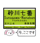 多摩の電車 今この駅だよ！タレミー（個別スタンプ：4）