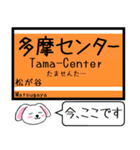 多摩の電車 今この駅だよ！タレミー（個別スタンプ：19）