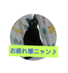 neko猫好き（個別スタンプ：7）