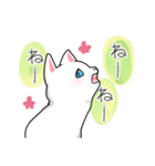 毎日もふもふ白猫こねこ（個別スタンプ：4）