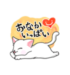 毎日もふもふ白猫こねこ（個別スタンプ：11）