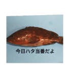 魚ギャグスタンプ（個別スタンプ：1）