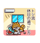 柴犬トシの夏（個別スタンプ：9）