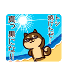 柴犬トシの夏（個別スタンプ：38）