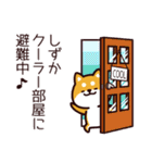 柴犬しずかの夏（個別スタンプ：33）