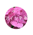 恋する紫陽花（個別スタンプ：3）