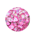 恋する紫陽花（個別スタンプ：8）