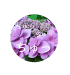 恋する紫陽花（個別スタンプ：9）