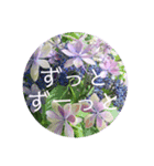 恋する紫陽花（個別スタンプ：10）