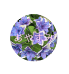 恋する紫陽花（個別スタンプ：16）
