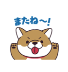 元気な柴犬（個別スタンプ：3）