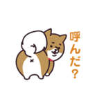 元気な柴犬（個別スタンプ：7）