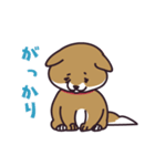 元気な柴犬（個別スタンプ：14）