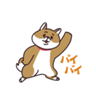 元気な柴犬（個別スタンプ：22）