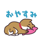 元気な柴犬（個別スタンプ：28）