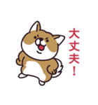 元気な柴犬（個別スタンプ：35）