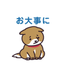 元気な柴犬（個別スタンプ：37）