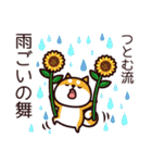 柴犬つとむの夏（個別スタンプ：13）