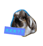 垂れ耳ウサギのゲゲ（個別スタンプ：2）