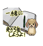 かわいい犬のお誘いとお返事スタンプ（個別スタンプ：25）