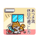 柴犬あつきの夏（個別スタンプ：9）