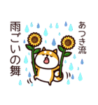 柴犬あつきの夏（個別スタンプ：13）