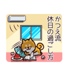 柴犬かつえの夏（個別スタンプ：9）