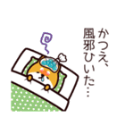 柴犬かつえの夏（個別スタンプ：35）