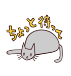 灰色のねこ 日常ゆるっと（個別スタンプ：12）