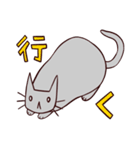 灰色のねこ 日常ゆるっと（個別スタンプ：16）