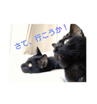 黒猫テンくん＆みぞれちゃんの日常（個別スタンプ：13）