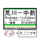 都電 荒川線 今この駅だよ！タレミー（個別スタンプ：2）