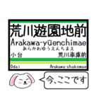 都電 荒川線 今この駅だよ！タレミー（個別スタンプ：12）