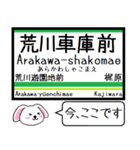 都電 荒川線 今この駅だよ！タレミー（個別スタンプ：13）