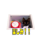 白くつしたネコくうちゃん。（個別スタンプ：2）