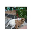 犬 大型犬（個別スタンプ：9）