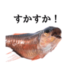 お魚図鑑『クロホシイシモチ』釣りでみる魚（個別スタンプ：15）