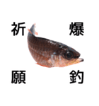 お魚図鑑『クロホシイシモチ』釣りでみる魚（個別スタンプ：27）