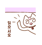 赤ちゃん猫 チェリミュウ (韓国語)（個別スタンプ：17）