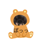 犬スタンプぬいぐるみ（個別スタンプ：5）