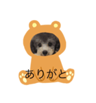 犬スタンプぬいぐるみ（個別スタンプ：6）