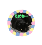 黒猫兄弟（個別スタンプ：6）