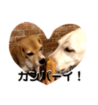 ビーグル犬よつばちゃん 1（個別スタンプ：8）