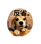 ビーグル犬よつばちゃん 1（個別スタンプ：32）