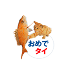 猫島ありのまま（個別スタンプ：23）