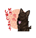 甲斐犬 黒虎スタンプ（個別スタンプ：15）