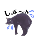 黒猫はなちゃん1（個別スタンプ：12）