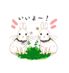 Lovely rabbit sticker！4（個別スタンプ：4）