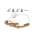 Lovely rabbit sticker！4（個別スタンプ：10）